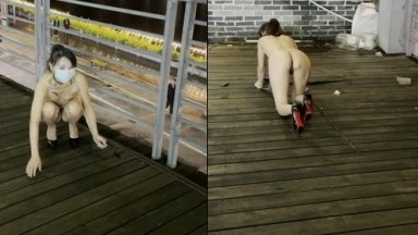 Vụ rò rỉ mới nhất gần đây đã trở nên phổ biến trên Internet, tiết lộ tùy chỉnh mới nhất của người vợ điên "Chị Youyou" - một con chó cái đi dạo trong thành phố vào ban đêm