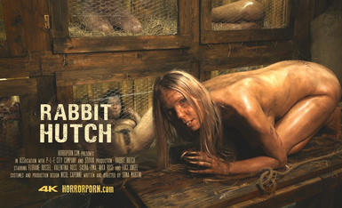rabbit.hutch