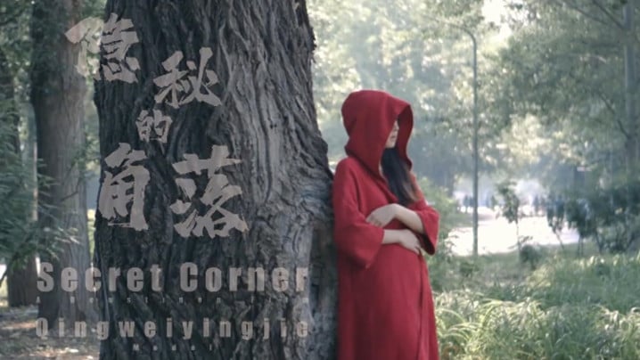 【捷哥作品】《隐秘的角落》网红“北京天使”公园全裸露出 bissav