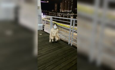 Rò rỉ mới nhất gần đây đã trở nên phổ biến trên toàn Internet. Tùy chỉnh mới nhất của người vợ điên "Chị Youyou" - một con chó cái khỏa thân đi dạo trong thành phố vào ban đêm bên bờ sông trên dây xích, kiểu chó, quỳ và bò, phiên bản HD 720P.
